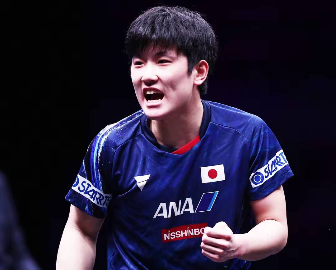 中国队完胜法国队,张本智和状态火热 中国队完胜法国队,张本智和状态火热