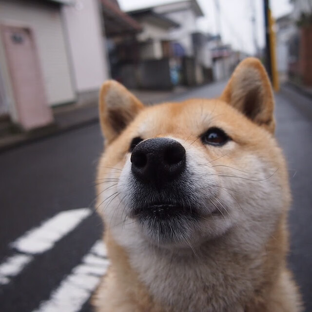 赛道就是球场，当凯尔特人防守哲学入侵F1，杜兰特如何在缠斗中锁死年度总冠军