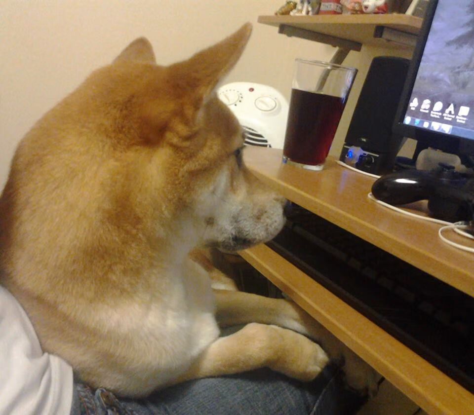 克罗地亚铁骑席卷安菲尔德,迪马利亚魔幻舞步点亮欧冠之夜