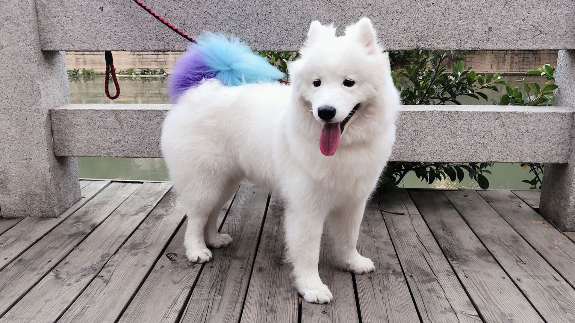 他拔起格陵兰冰原,化作投枪,阿什拉夫的维京式接管,与一场后现代足球战争