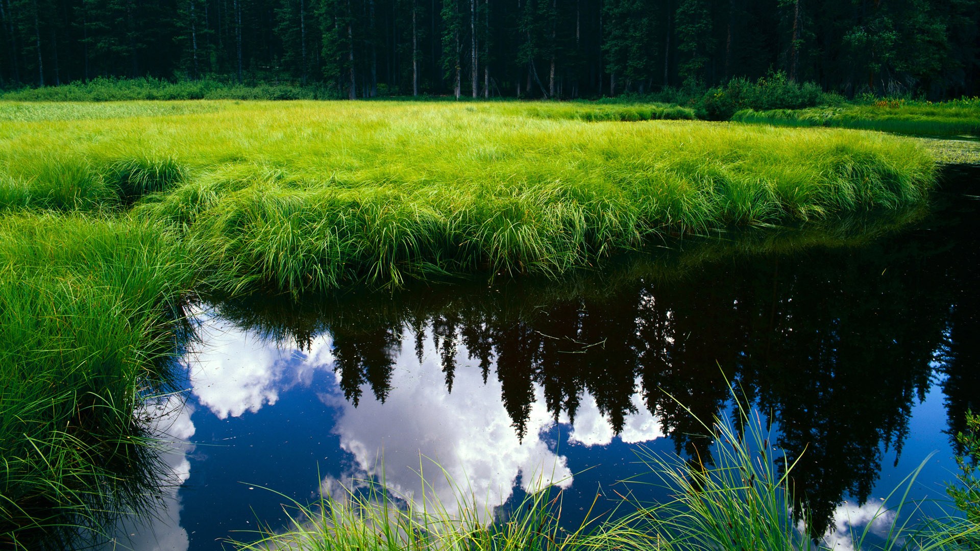 铁马冰河入梦来,西亚卡姆用冲锋姿态为广厦劈开胜利之路