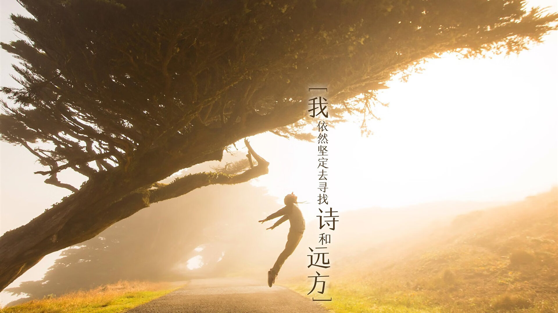 新王当立！加克波独闯龙潭撕碎巴萨防线，一场比赛宣告王权更迭