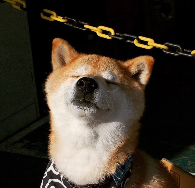 地缘政治的全场紧逼，当伊朗封锁遇上NBA的赖斯时刻