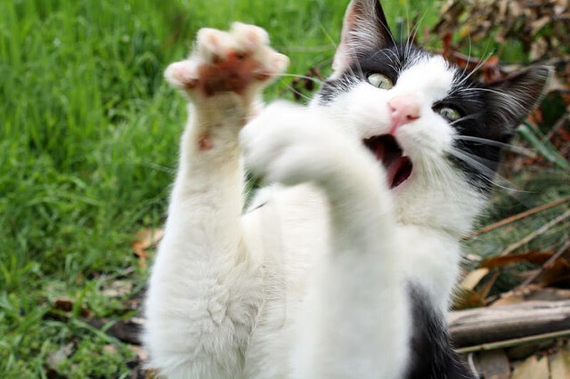 逆流与涡轮,当足球压哨绝杀撞上F1年度争冠的唯一性启示