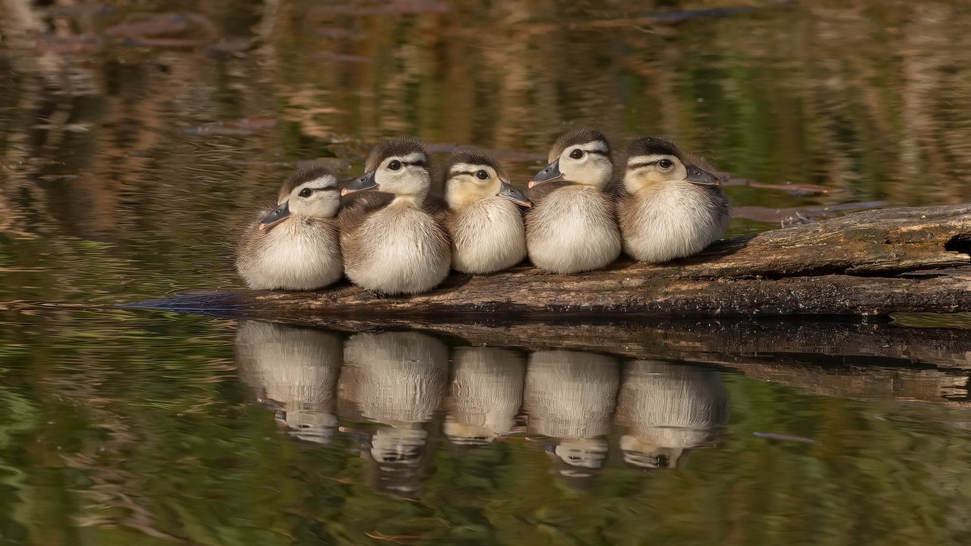 元宇宙之巅，当湖人逆转山西，世界篮球的坐标被重新定义