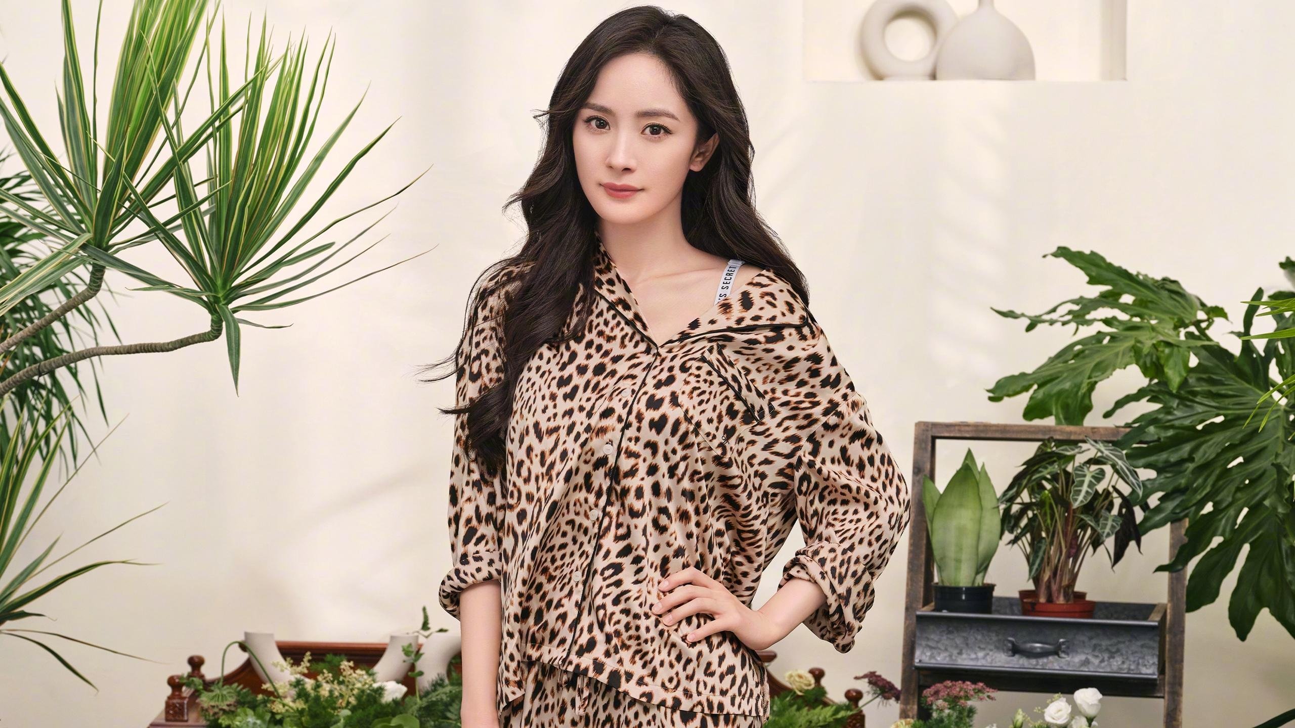 沙漠风暴中的绿洲奇迹,2026世界杯,厄瓜多尔如何用碾压重写历史,巴雷拉铸就南美荣耀