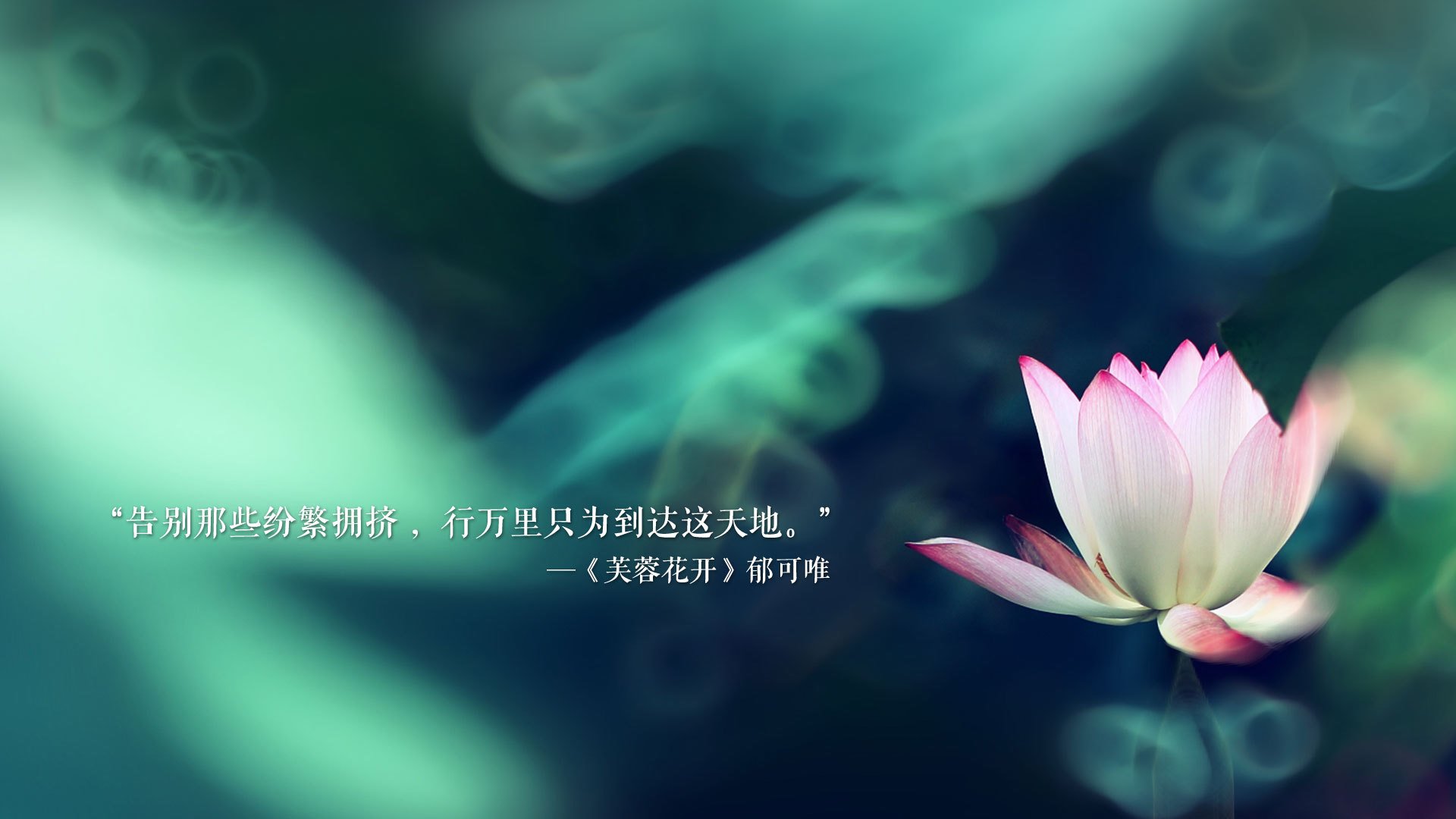 沙漠中的郁金香,2026世界杯,范戴克的忠诚与乌兹别克斯坦的复仇终局