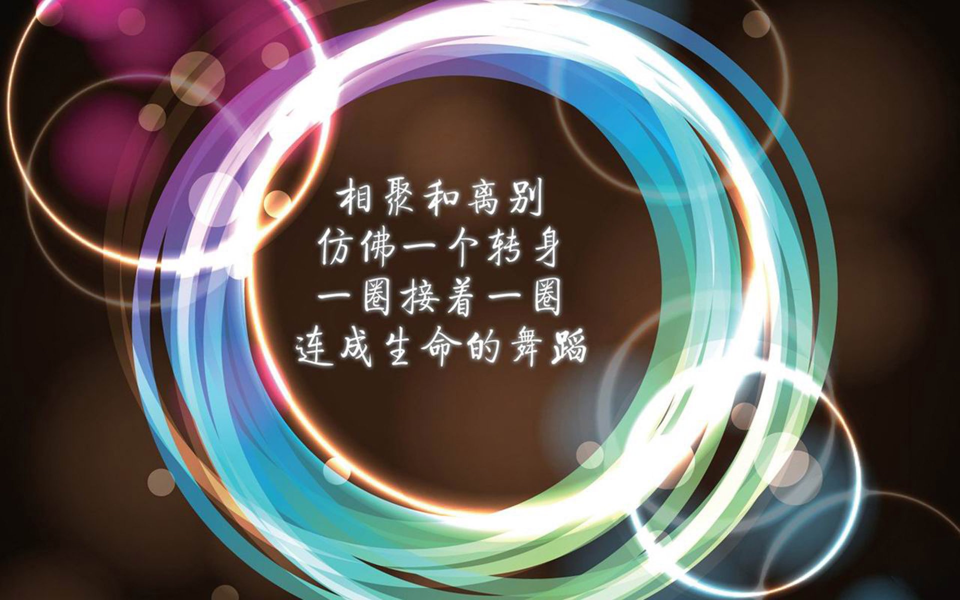 咫尺天涯，生死殊途—2026世界杯C组秩序的崩塌与宿命的逆行