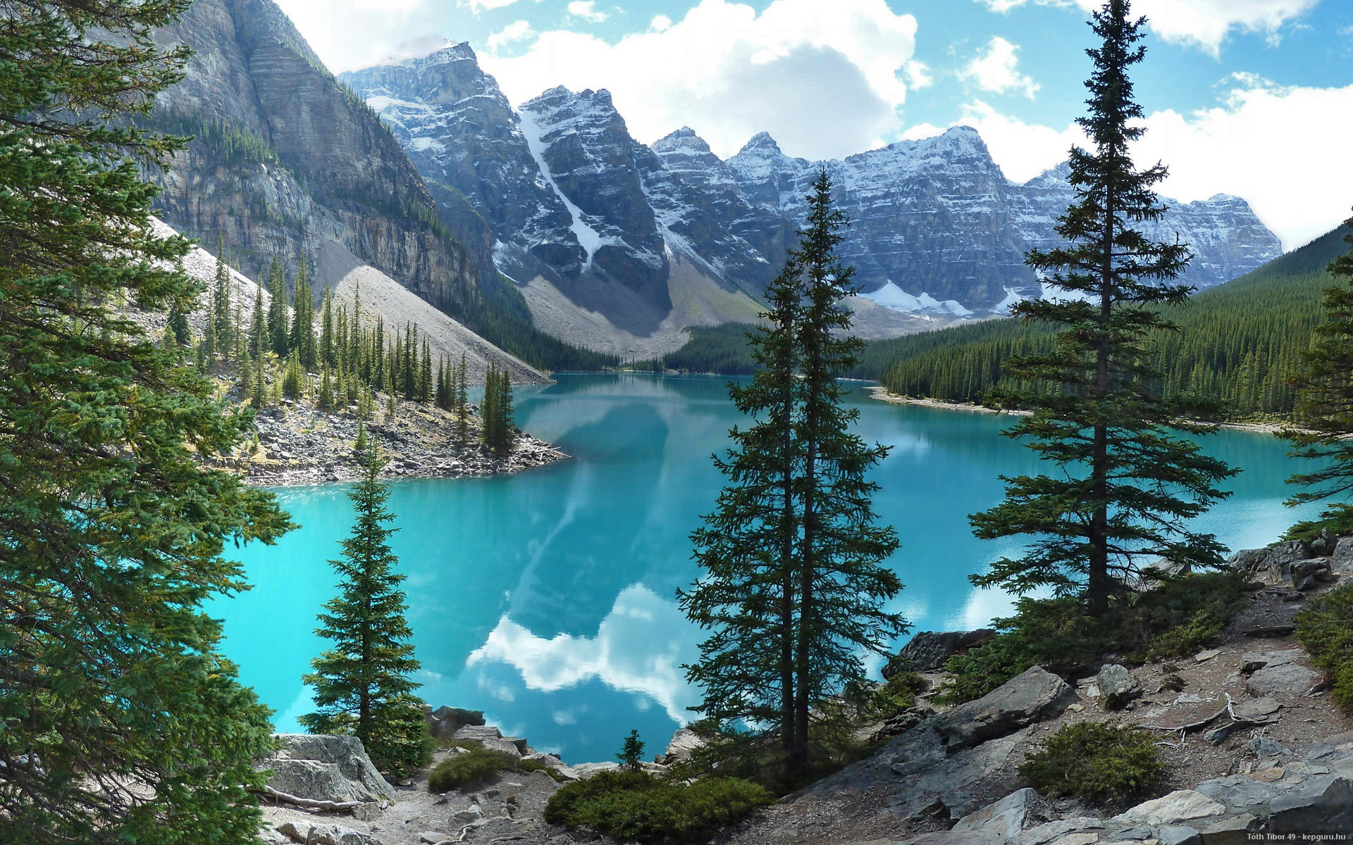 2026世界杯决赛之夜，齐耶赫闪耀独木难支，法国绝杀尼日利亚捧杯